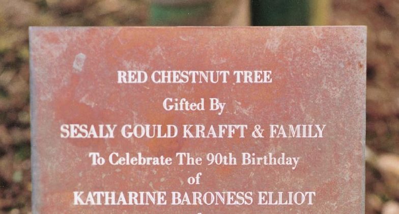 Chestnut tree bronze going through an odd, but natural ageing process. Memorial tree plaques.