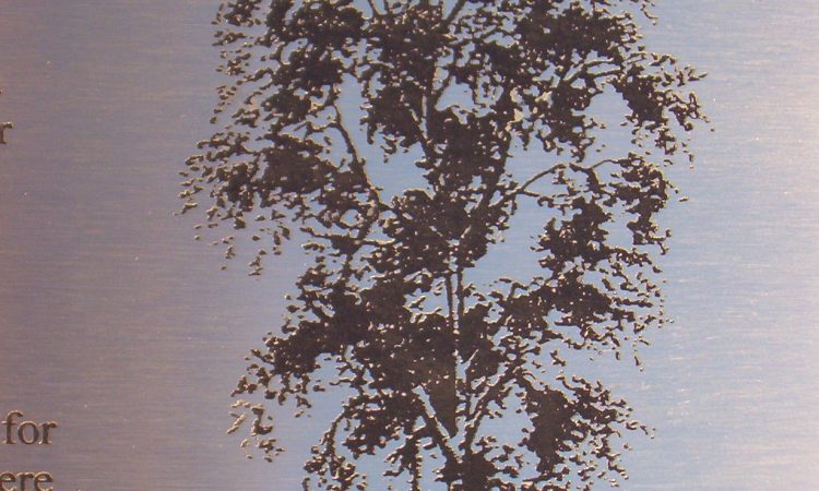 Laser blackened Fine Detail