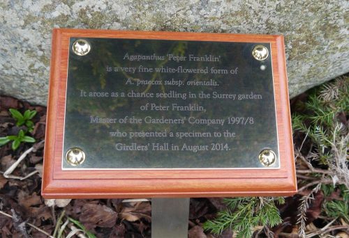 polished brass plaque